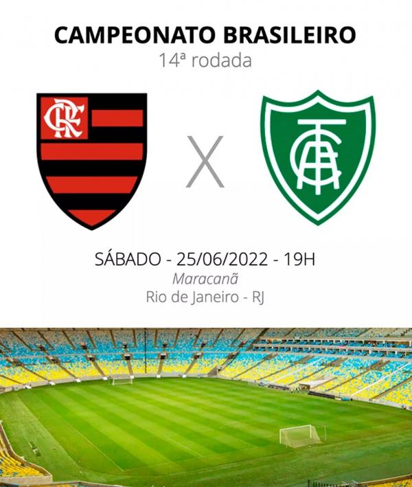 Flamengo e América-MG se enfrentam neste sábado.(Imagem:Globoesporte)