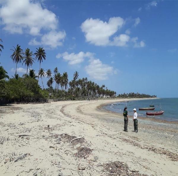 Piauí faz nova demarcação de linha de praia para combater construções ilegais no litoral(Imagem:Divulgação)