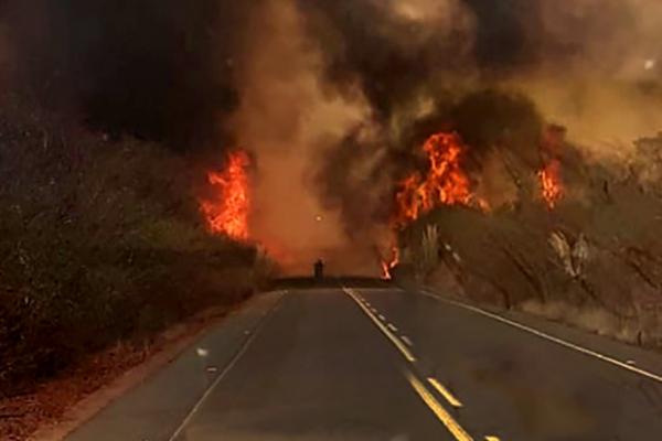 Queimada volta a atingir reserva legal e moradores tentam proteger casas no Sul do Piauí(Imagem:Reprodução)