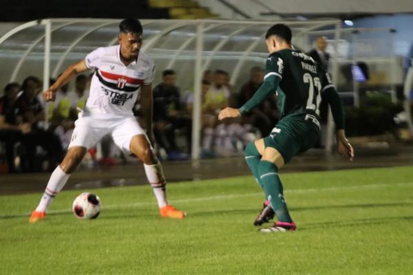  Lance da partida entre Botafogo-SP e Palmeiras.(Imagem:Luiz Cosenzo/Divulgação/Agência Botafogo )