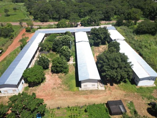 Reforma do campus Deputado Jesualdo Cavalcanti, da Universidade Estadual do Piau&iacute; (Uespi), em Corrente.(Imagem:Gean Ribeiro)