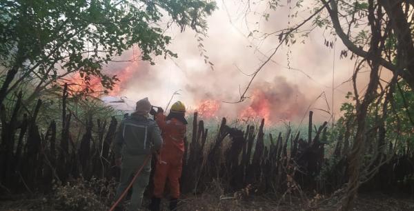 Incêndio fora de controle ameaça Serra das Confusões e bombeiros enviam reforços(Imagem:Reprodução/Corpo de Bombeiros)