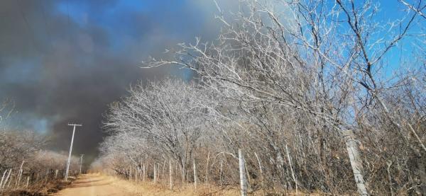 Incêndio que ameaçava Parques das Serras das Confusões e Capivara é controlado após dois dias(Imagem:André Pessoa)