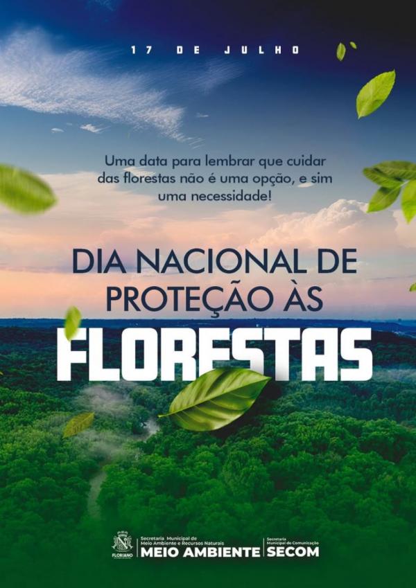 17 de Julho ? Dia Nacional de Proteção às Florestas: um chamado à conscientização e à ação(Imagem:Reprodução/Instagram)