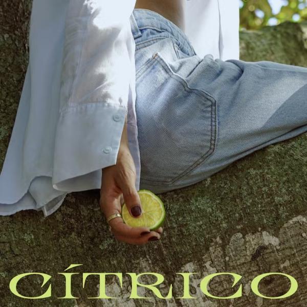 Capa de 
