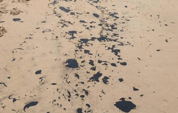 ICMBio ainda não sabe origem dos 216 kg de óleos retirados de praias em 2022.(Imagem:Semar/ Instituto Tartarugas do Delta)