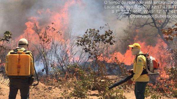 Inpe registra quase 500 focos de incêndio no território do Piauí nos 8 primeiros dias de agosto(Imagem:Reprodução)