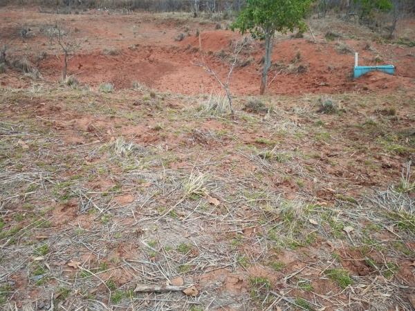  Fapepi investe em projeto no semiárido piauiense para recuperação da biodiversidade do solo(Imagem:Divulgação)