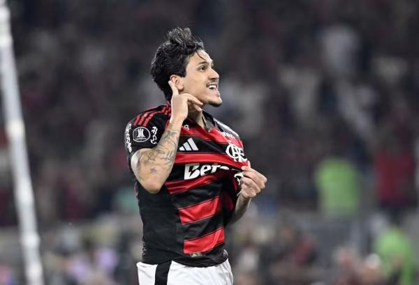 Pedro comemorando o gol em Flamengo x Estudiantes.(Imagem:André Durão/ge)