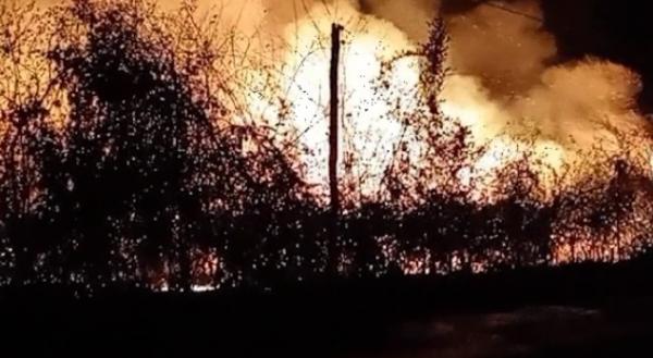 Incêndio consome mais de 1 km de vegetação no Piauí; bombeiros são acionados.(Imagem:Reprodução)