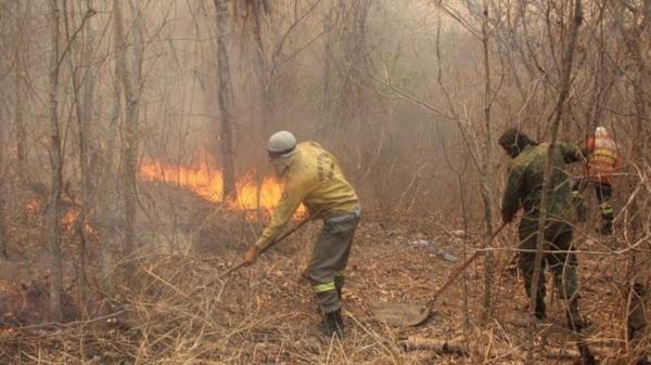 Novos incêndios foram registrados em alguns pontos do Pantanal nos últimos dias, após fogo diminuir no bioma.(Imagem:Silvio de Andrade/Governo de MS)