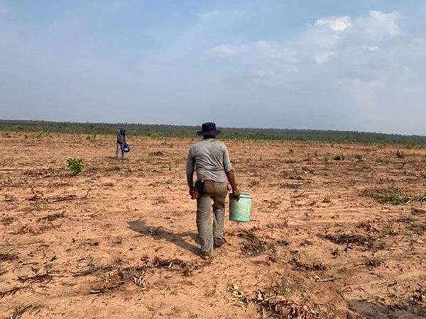 Treze trabalhadores em situação análoga a de escravo são resgatados em Gilbués(Imagem:Divulgação/MPT-PI)