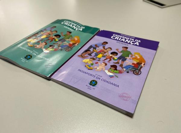 A Caderneta de Saúde da Criança é um material informativo que deve ser disponibilizado para os pais de recém-nascidos. O material não chegava ao Piauí desde 2020.(Imagem:Divulgação)