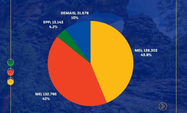 Piauí tem mais de 300 mil empresas ativas, com predominância do comércio e serviços(Imagem:Divulgação)
