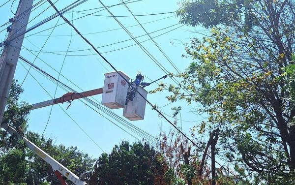 Equatorial Piauí reforça responsabilidades pela poda de árvores para manter a continuidade do fornecimento de energia.(Imagem:Divulgação)