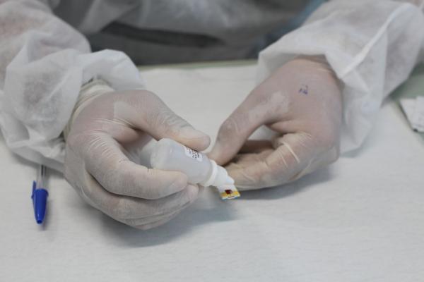 Piauí registra 445 casos confirmados e sete óbitos pelo novo coronavírus(Imagem:Mariana Padovan/Secom)