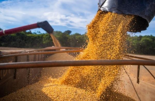 A produção conjunta de soja e milho alcançará cerca de 6,4 milhões de toneladas representando 95,5% do total da produção de grãos do Piauí.(Imagem:Aprosoja)