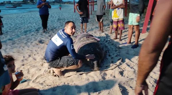  Peixe-boi de quase 400 kg é resgatado na Praia da Pedra do Sal, em Parnaíba.(Imagem:Divulgação )