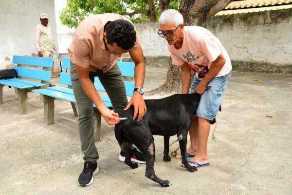 Prefeitura de Floriano mobiliza população no dia D de Vacinação Antirrábica 2025(Imagem:Secom)