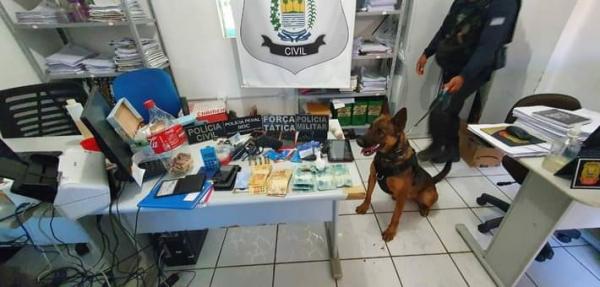 Cão farejador e objetos apreendidos durante a operação.(Imagem:Polícia Civil de Bom Jesus)