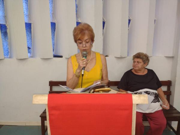 Rubenita Ferreira, diretora do Colégio Industrial. (Imagem:FlorianoNews)
