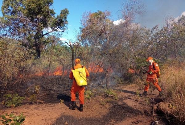 Focos de queimadas crescem 119% e Piauí termina julho em 7º lugar no Brasil.(Imagem:Corpo de Bombeiros)