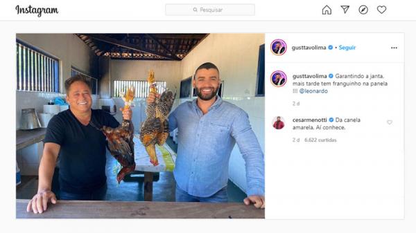 Gusttavo Lima e Leonardo são criticados por publicar foto com frangos mortos(Imagem:Reprodução)