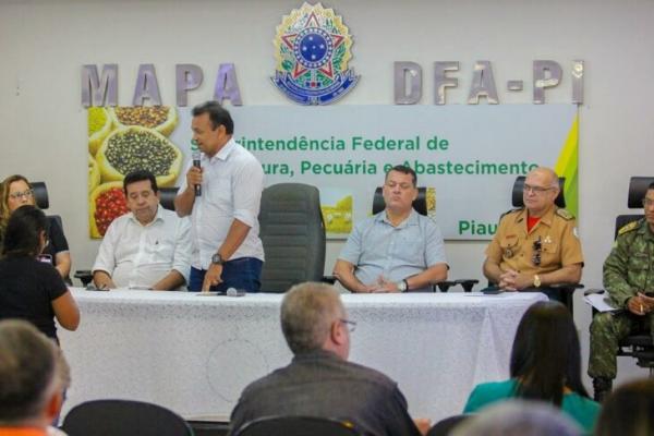 Influenza Aviária: comitê técnico vai elaborar plano de contingência no Piauí(Imagem:Divulgação)