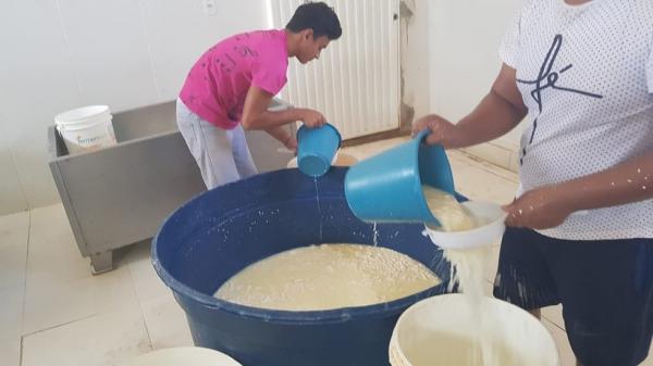 Ministério Público decide multar em R$ 20 mil dono de fábrica clandestina de queijo no Piauí(Imagem:Reprodução)