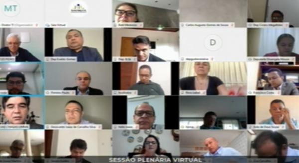 Sessão virtual da Alepi(Imagem:Reprodução)