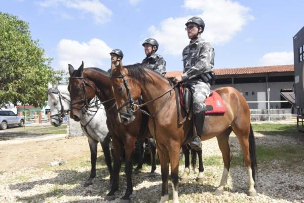 Cavalaria da PM garante segurança pública e inclusão social no Piauí.(Imagem:Francisco Leal)