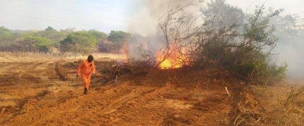 Incêndio fora de controle ameaça Serra das Confusões e bombeiros enviam reforços(Imagem:Divulgação/Corpo de Bombeiros)