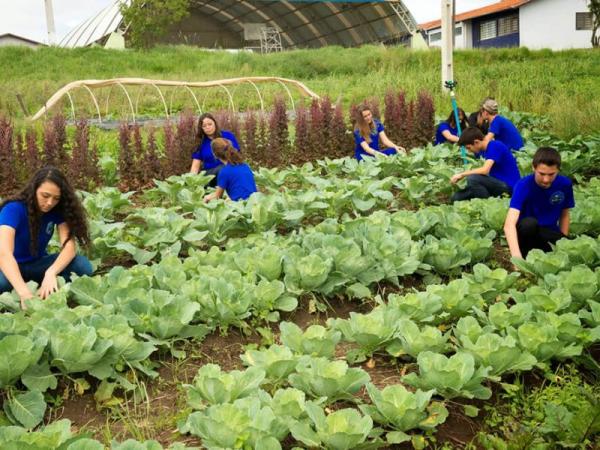 Campanha busca promover participação de mulheres na educação no campo(Imagem:Divulgação)