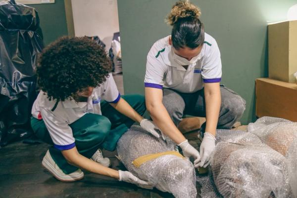 Museu do Piau&iacute; desmonta exposi&ccedil;&otilde;es para obra de restaura&ccedil;&atilde;o, moderniza&ccedil;&atilde;o e constru&ccedil;&atilde;o de caf&eacute;(Imagem:Jo&atilde;o Allbert)
