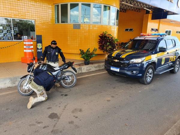 Motocicleta adulterada é apreendida e condutor inabilitado é preso pela PRF em Floriano(Imagem:Divulgação/PRF)