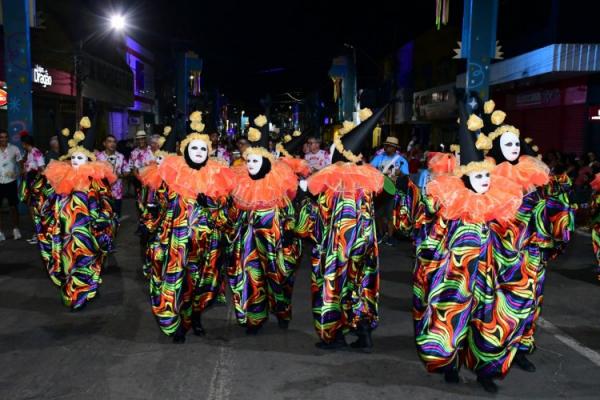 Desfile das Escolas de Samba encanta p&uacute;blico na Avenida Get&uacute;lio Vargas.(Imagem:Secom)