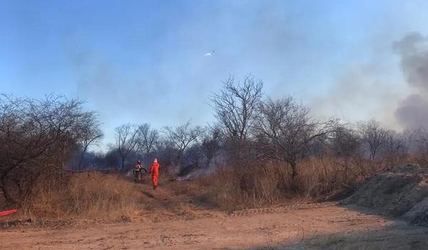  Incêndio atinge área de mais de 200 hectares de vegetação e mata animais em Dirceu Arcoverde.(Imagem: Divulgação )