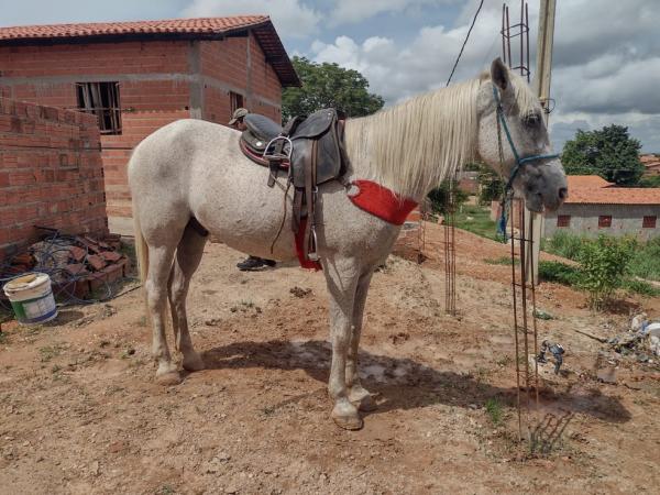 Minutos depois, a vítima do assalto conseguiu pedir socorro aos policiais que passavam em uma viatura e eles começaram a seguir os suspeitos. Quando os policiais alcançaram os dois(Imagem:Reprodução)