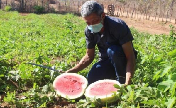 Piauí é um dos estados que mais reduziu a pobreza no País(Imagem:Divulgação)