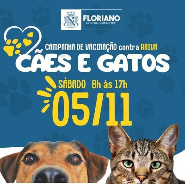 Campanha de vacinação antirrábica em cães e gatos.(Imagem:Divulgação)