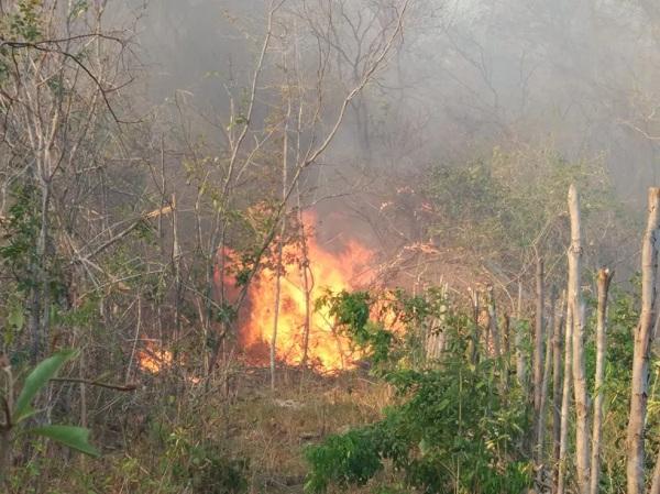 Piauí é 9º estado do país com mais focos de queimadas, mas registra redução de 27% em relação ao ano passado.(Imagem:Kairo Amaral/TV Clube)