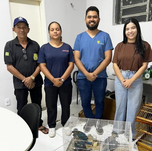 SEMAN atua em nova apreensão de animais silvestres em ação conjunta com PRF, Polícia Civil e IBAMA.(Imagem:Reprodução/Instagram)