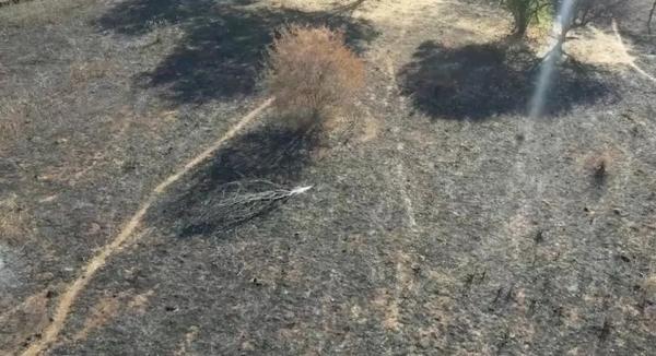 Imagem aérea do incêndio no Sul do Piauí.(Imagem:Reprodução/TV Clube)