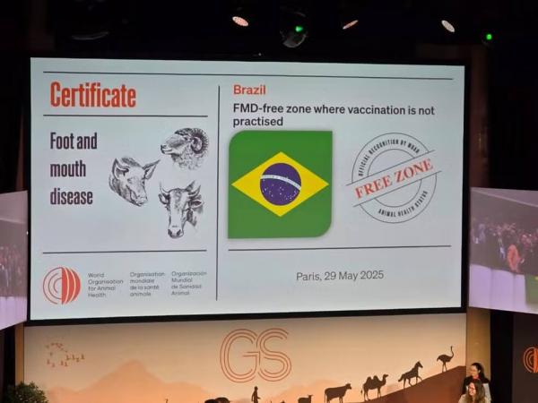 Certifica&ccedil;&atilde;o concedida ao estado pela OMSA em 2025 amplia o acesso do rebanho piauiense a mercados internacionais e consolida avan&ccedil;os na defesa agropecu&aacute;ria.(Imagem:Divulga&ccedil;&atilde;o)