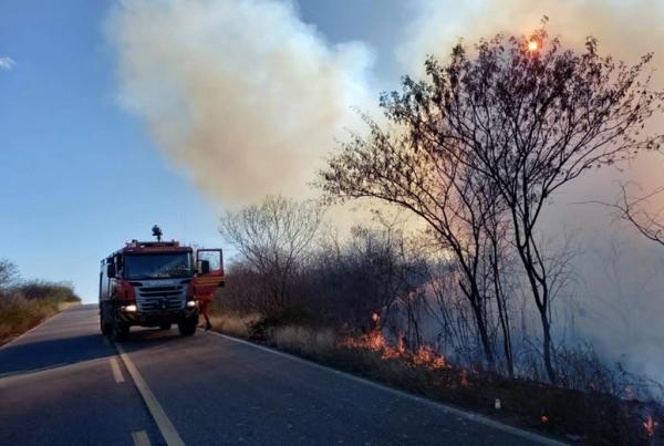 Piauí fecha agosto com 1.600 focos e fica em 2º lugar em queimadas no Nordeste.(Imagem:Corpo de Bombeiros)