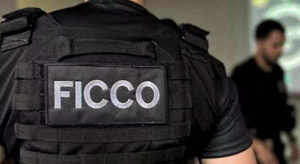 Forças de Segurança cumprem mandado na casa de filho da prefeita de Luís Correia, no litoral do Piauí.(Imagem:Divulgação)