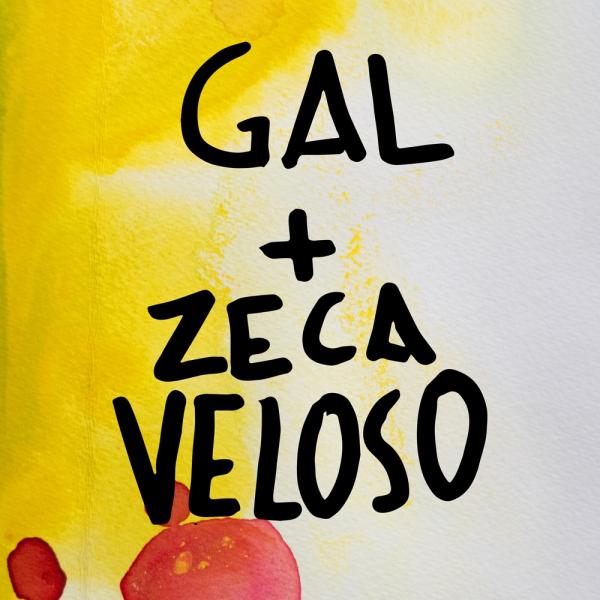 Gal Costa se afina com Zeca Veloso ao reviver a dor de doce canção(Imagem:Reprodução)