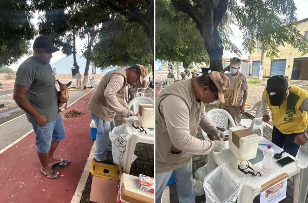 Prefeitura de Floriano realiza edi&ccedil;&atilde;o do ?Meu Amigo Pet? no bairro Nossa Senhora da Guia(Imagem:Secom)