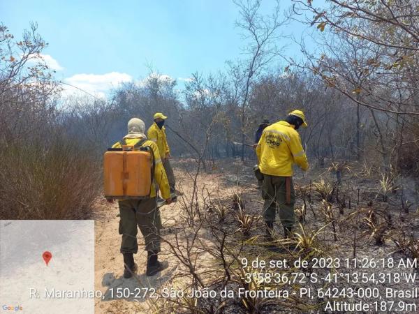 Animais morrem queimados em incêndio que já dura cinco dias no Norte do Piauí, divisa com o Ceará.(Imagem:Reprodução)