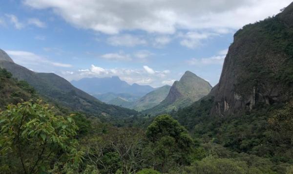 Mata Atlântica no Parque Nacional da Serra dos Órgãos, em Petrópolis, no Rio de Janeiro.(Imagem:Patrícia Figueiredo/G1)